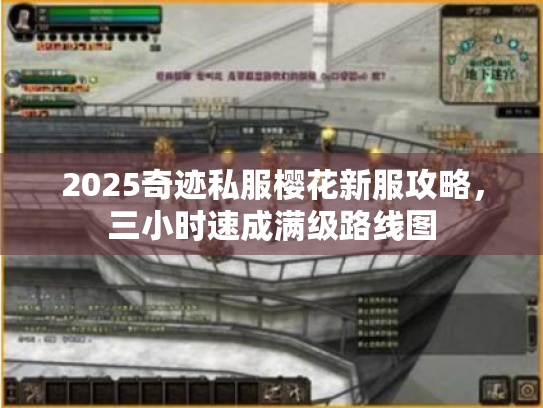 2025奇迹私服樱花新服攻略,三小时速成满级路线图 2025奇迹私服樱花新服攻略,三小时速成满级路线图