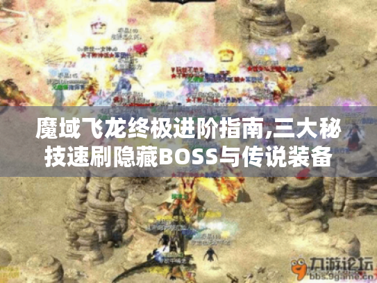 魔域飞龙终极进阶指南,三大秘技速刷隐藏BOSS与传说装备 魔域飞龙终极进阶指南,三大秘技速刷隐藏BOSS与传说装备