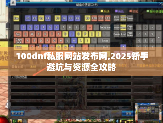 100dnf私服网站发布网,2025新手避坑与资源全攻略 100dnf私服网站发布网,2025新手避坑与资源全攻略