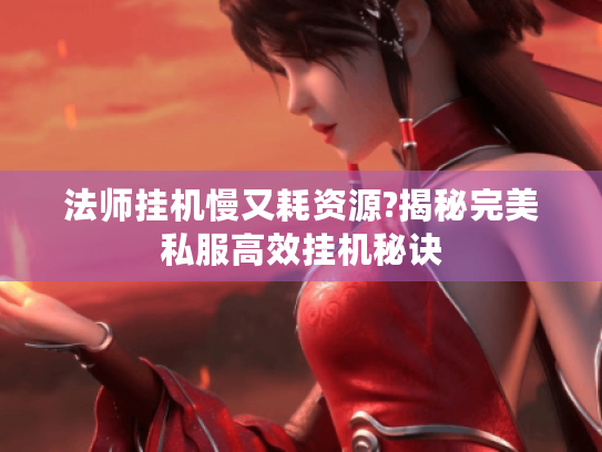 法师挂机慢又耗资源?揭秘完美私服高效挂机秘诀