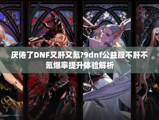 厌倦了DNF又肝又氪?9dnf公益服不肝不氪爆率提升体验解析