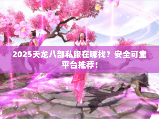 2025天龙八部私服在哪找？安全可靠平台推荐！