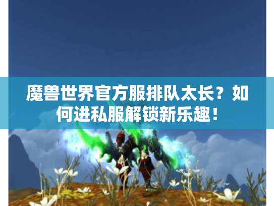魔兽世界官方服排队太长？如何进私服解锁新乐趣！