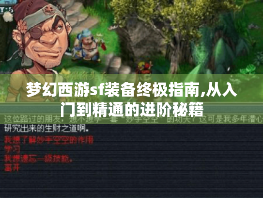 梦幻西游sf装备终极指南,从入门到精通的进阶秘籍 梦幻西游sf装备终极指南,从入门到精通的进阶秘籍