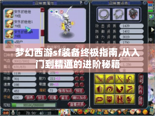 梦幻西游sf装备终极指南,从入门到精通的进阶秘籍 梦幻西游sf装备终极指南,从入门到精通的进阶秘籍