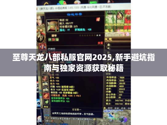 至尊天龙八部私服官网2025,新手避坑指南与独家资源获取秘籍 至尊天龙八部私服官网2025,新手避坑指南与独家资源获取秘籍