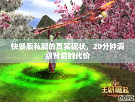 快餐版私服的真实现状,20分钟满级背后的代价 快餐版私服的真实现状,20分钟满级背后的代价