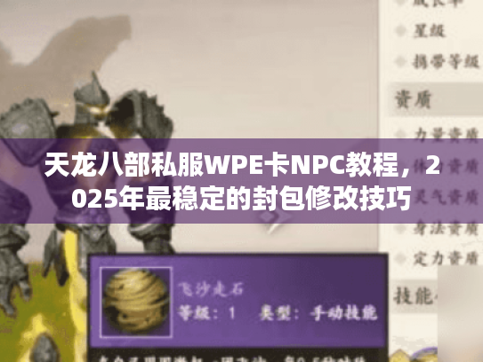 天龙八部私服WPE卡NPC教程,2025年最稳定的封包修改技巧 天龙八部私服WPE卡NPC教程,2025年最稳定的封包修改技巧
