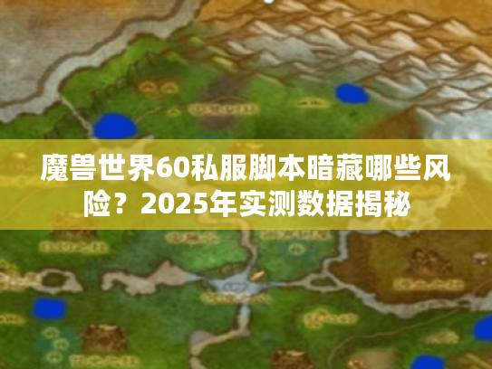魔兽世界60私服脚本暗藏哪些风险？2025年实测数据揭秘