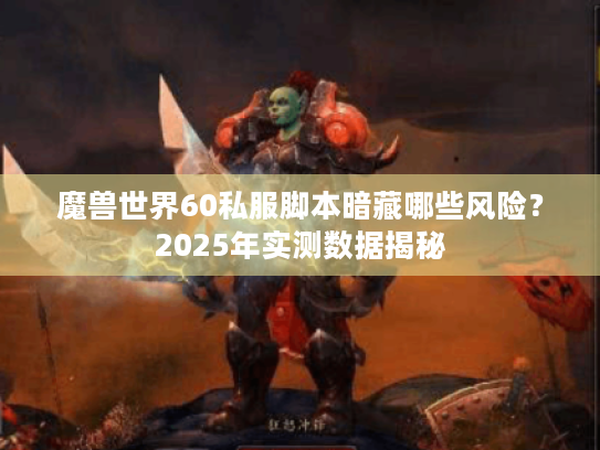 魔兽世界60私服脚本暗藏哪些风险？2025年实测数据揭秘