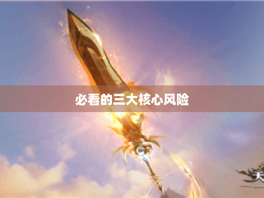 必看的三大核心风险