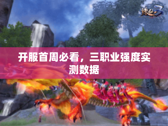 开服首周必看,三职业强度实测数据 开服首周必看,三职业强度实测数据