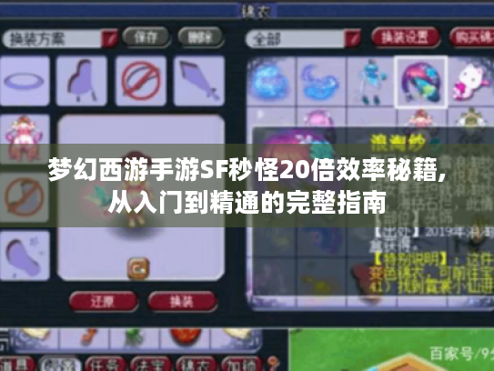 梦幻西游手游SF秒怪20倍效率秘籍,从入门到精通的完整指南 梦幻西游手游SF秒怪20倍效率秘籍,从入门到精通的完整指南