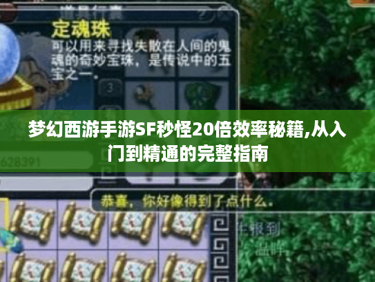 梦幻西游手游SF秒怪20倍效率秘籍,从入门到精通的完整指南 梦幻西游手游SF秒怪20倍效率秘籍,从入门到精通的完整指南