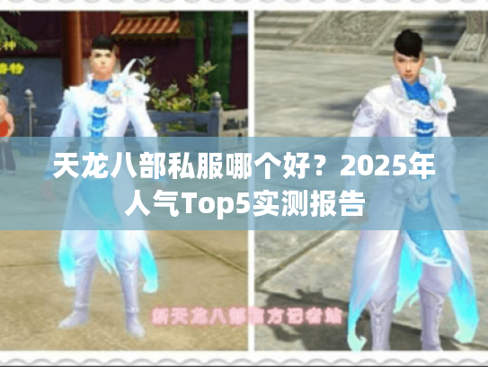 天龙八部私服哪个好？2025年人气Top5实测报告