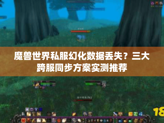 魔兽世界私服幻化数据丢失？三大跨服同步方案实测推荐
