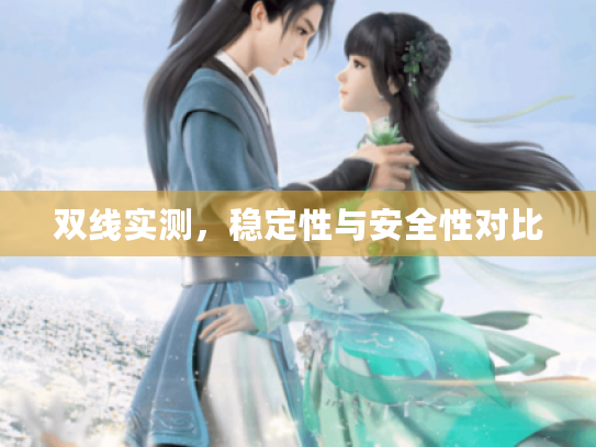 双线实测，稳定性与安全性对比