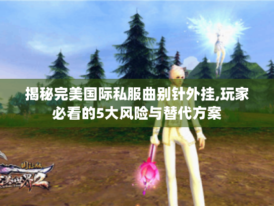 揭秘完美国际私服曲别针外挂,玩家必看的5大风险与替代方案