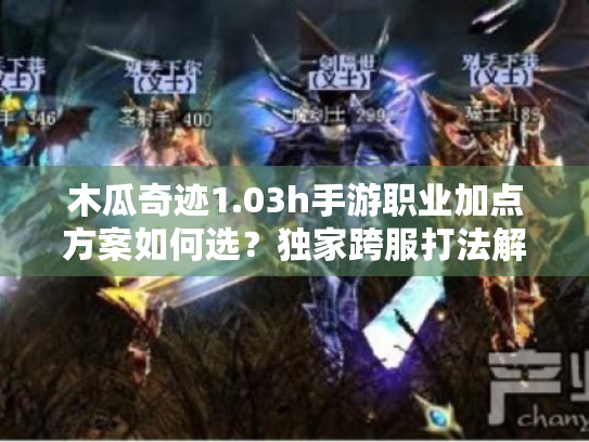 木瓜奇迹1.03h手游职业加点方案如何选?独家跨服打法解析 木瓜奇迹1.03h手游职业加点方案如何选?独家跨服打法解析