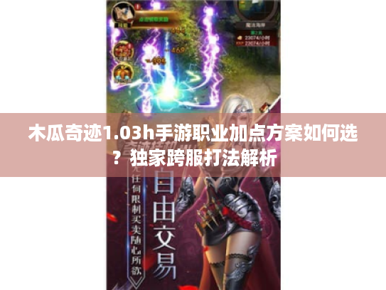 木瓜奇迹1.03h手游职业加点方案如何选?独家跨服打法解析 木瓜奇迹1.03h手游职业加点方案如何选?独家跨服打法解析