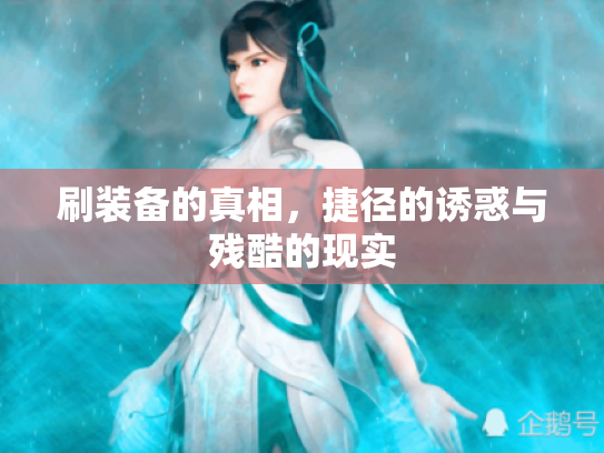 刷装备的真相,捷径的诱惑与残酷的现实 刷装备的真相,捷径的诱惑与残酷的现实