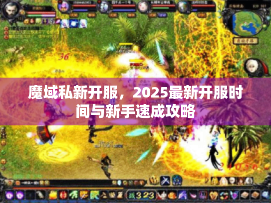 魔域私新开服，2025最新开服时间与新手速成攻略
