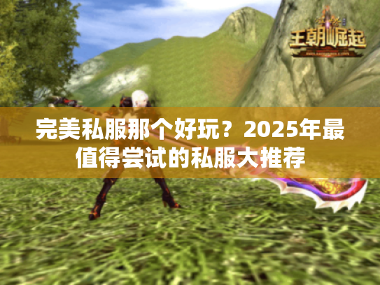 完美私服那个好玩?2025年最值得尝试的私服大推荐 完美私服那个好玩?2025年最值得尝试的私服大推荐
