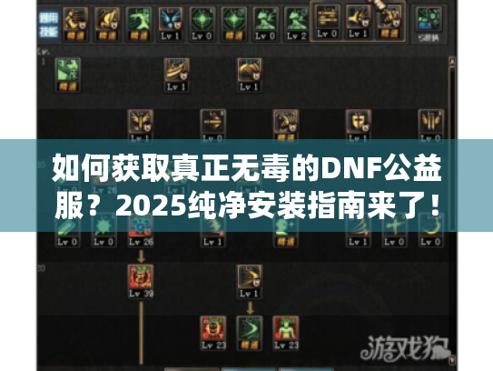 如何获取真正无毒的DNF公益服？2025纯净安装指南来了！