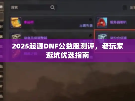 2025起源DNF公益服测评，老玩家避坑优选指南