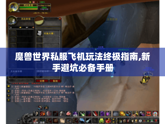 魔兽世界私服飞机玩法终极指南,新手避坑必备手册