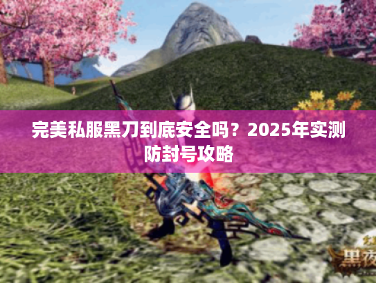 完美私服黑刀到底安全吗?2025年实测防封号攻略 完美私服黑刀到底安全吗?2025年实测防封号攻略