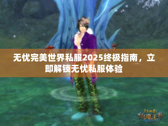 无忧完美世界私服2025终极指南，立即解锁无忧私服体验