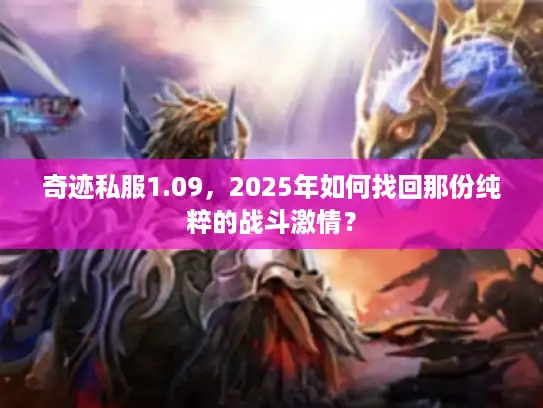 奇迹私服1.09,2025年如何找回那份纯粹的战斗激情? 奇迹私服1.09,2025年如何找回那份纯粹的战斗激情?
