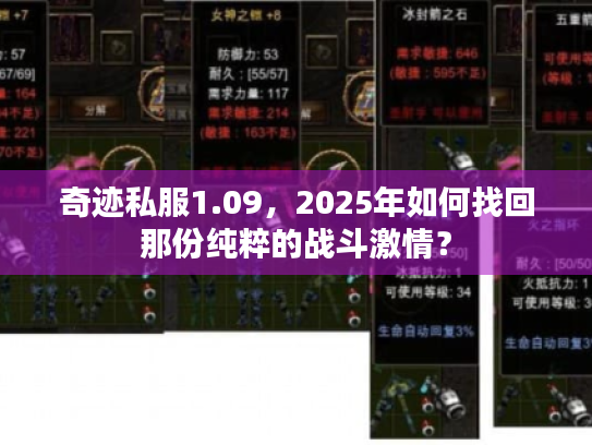 奇迹私服1.09,2025年如何找回那份纯粹的战斗激情? 奇迹私服1.09,2025年如何找回那份纯粹的战斗激情?