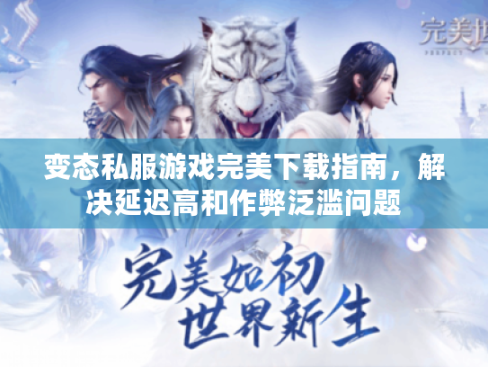 变态私服游戏完美下载指南，解决延迟高和作弊泛滥问题