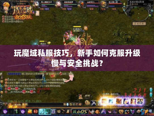 玩魔域私服技巧,新手如何克服升级慢与安全挑战? 玩魔域私服技巧,新手如何克服升级慢与安全挑战?