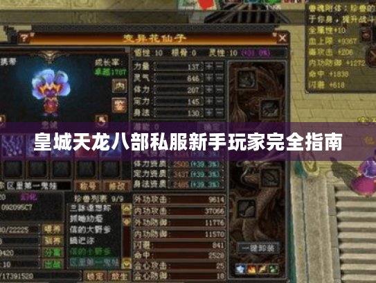 皇城天龙八部私服新手玩家完全指南 皇城天龙八部私服新手玩家完全指南
