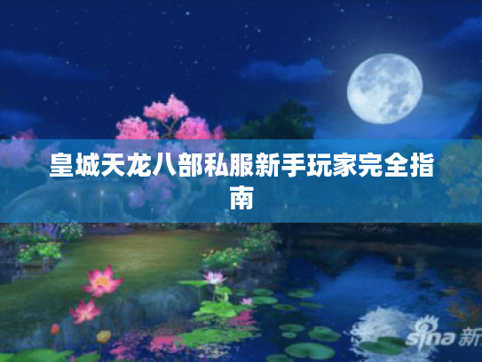 皇城天龙八部私服新手玩家完全指南 皇城天龙八部私服新手玩家完全指南