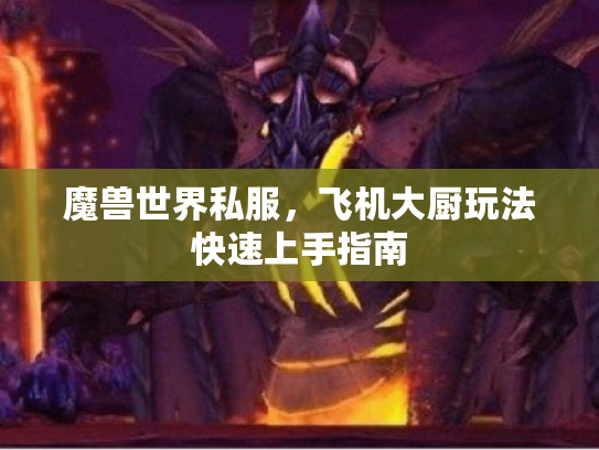 魔兽世界私服，飞机大厨玩法快速上手指南
