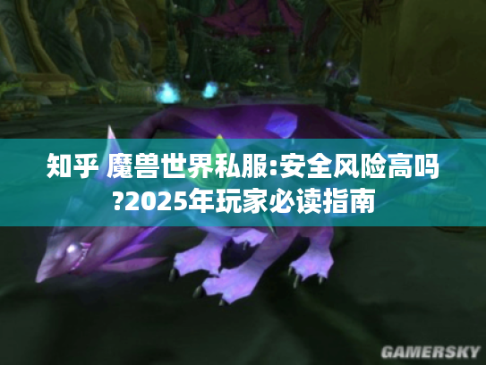 知乎 魔兽世界私服:安全风险高吗?2025年玩家必读指南