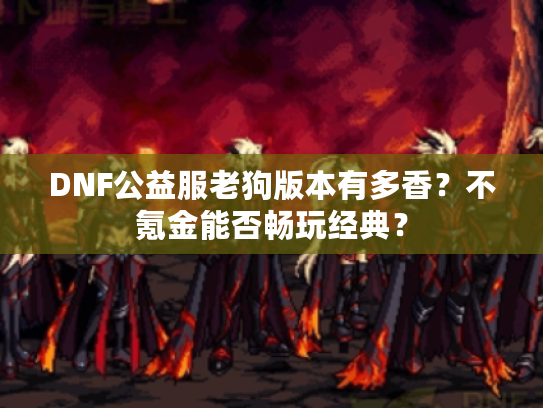 DNF公益服老狗版本有多香?不氪金能否畅玩经典? DNF公益服老狗版本有多香?不氪金能否畅玩经典?