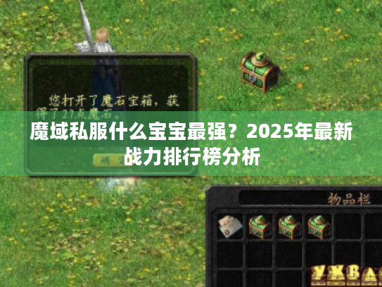 魔域私服什么宝宝最强？2025年最新战力排行榜分析