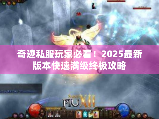 奇迹私服玩家必看!2025最新版本快速满级终极攻略 奇迹私服玩家必看!2025最新版本快速满级终极攻略