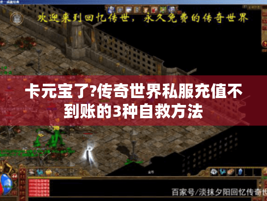 卡元宝了?传奇世界私服充值不到账的3种自救方法