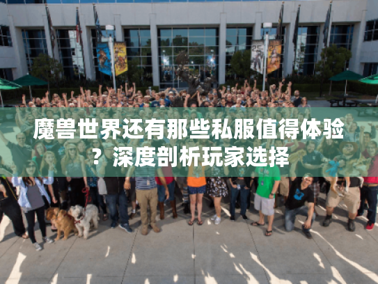 魔兽世界还有那些私服值得体验?深度剖析玩家选择 魔兽世界还有那些私服值得体验?深度剖析玩家选择
