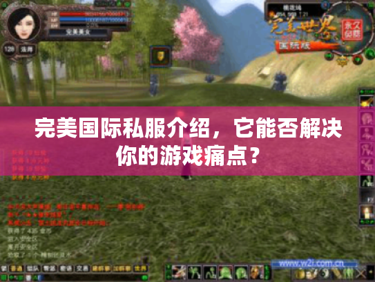 完美国际私服介绍，它能否解决你的游戏痛点？