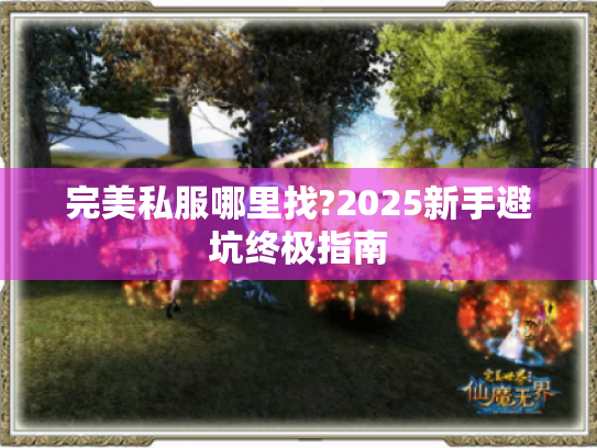 完美私服哪里找?2025新手避坑终极指南 完美私服哪里找?2025新手避坑终极指南