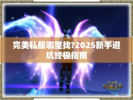 完美私服哪里找?2025新手避坑终极指南