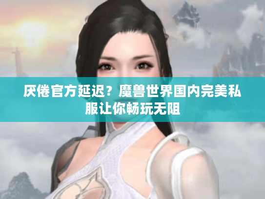 厌倦官方延迟？魔兽世界国内完美私服让你畅玩无阻
