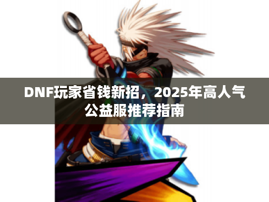 DNF玩家省钱新招，2025年高人气公益服推荐指南